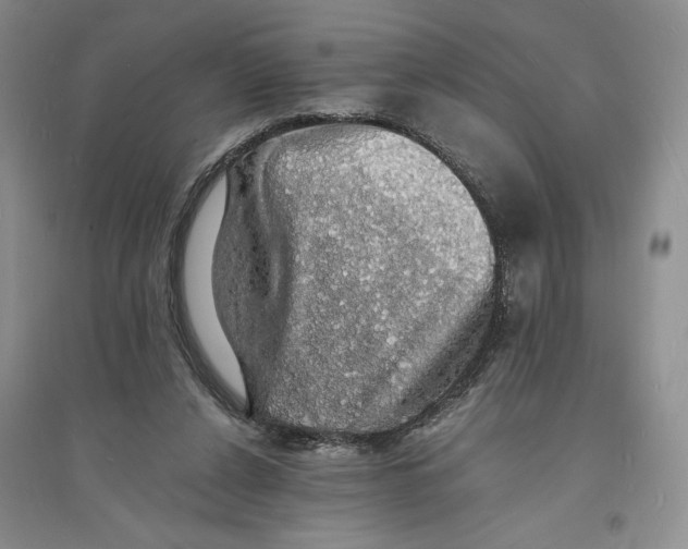 X0000094060256200711091135