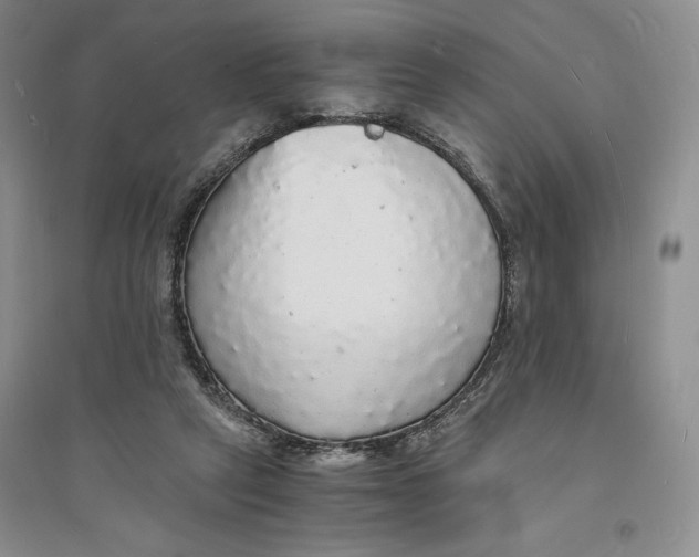 X0000094060257200711091135