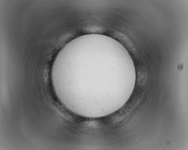 X0000094060259200711091135