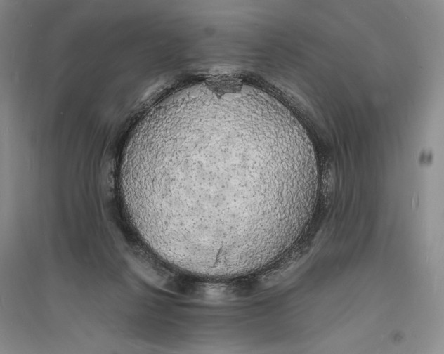 X0000094060264200711091135