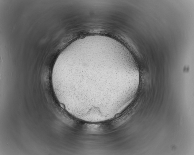 X0000094060265200711091135