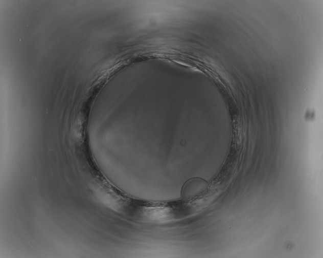 X0000094060266200711091135