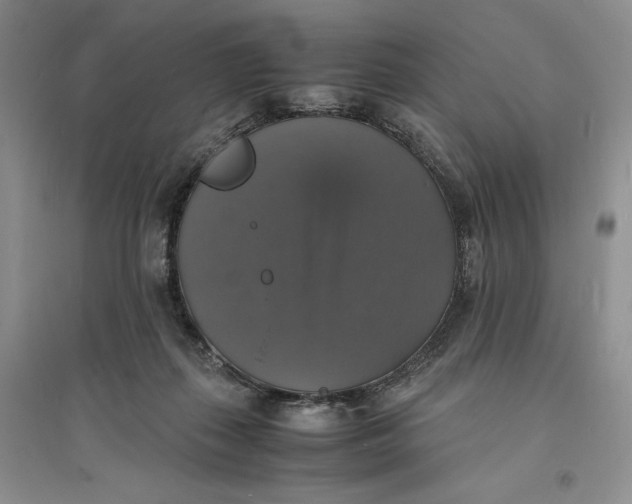 X0000094060267200711091135