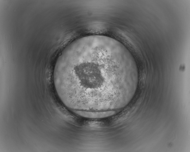 X0000094060268200711091135