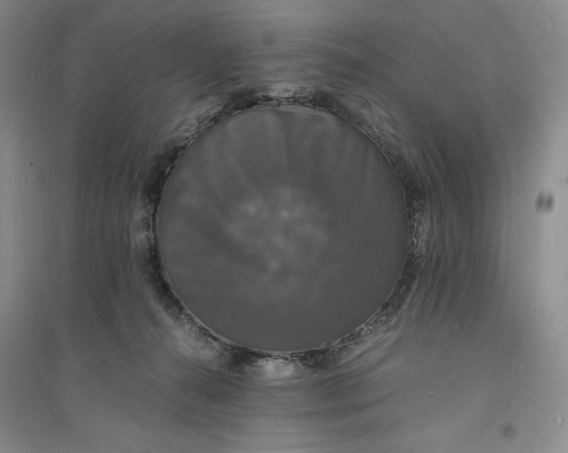 X0000094060272200711091135