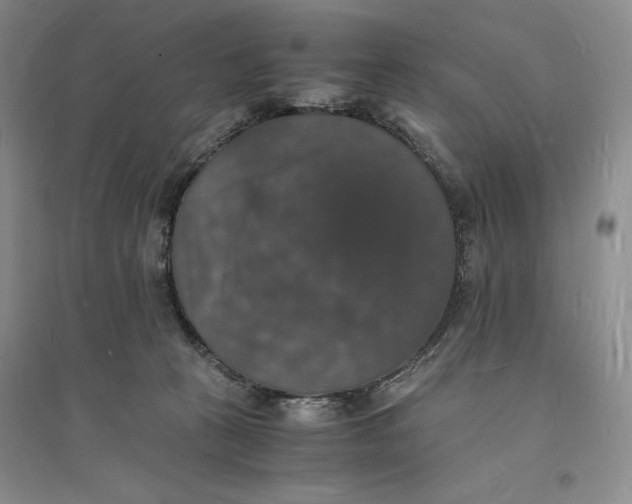 X0000094060273200711091135