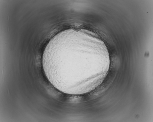 X0000094060274200711091135