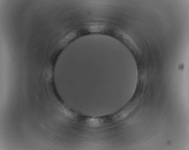 X0000094060277200711091135