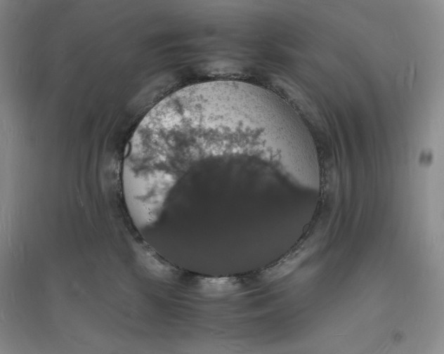 X0000094060281200711091135