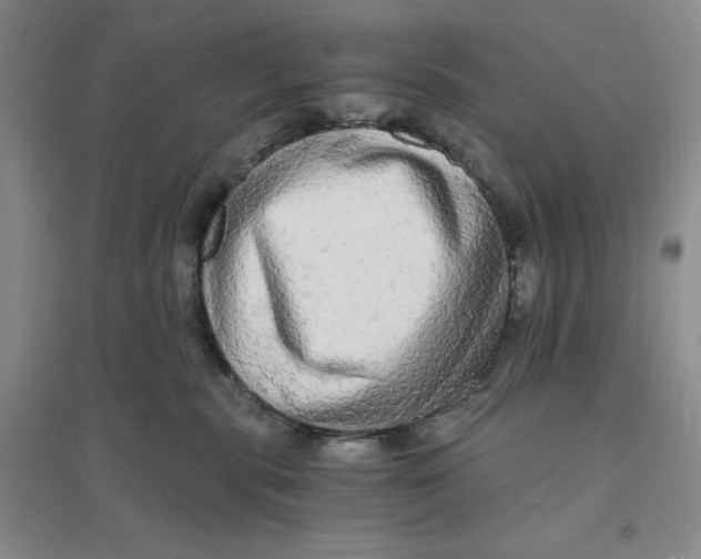 X0000094060283200711091136