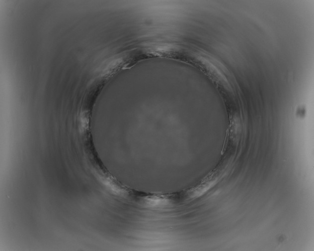 X0000094060284200711091136