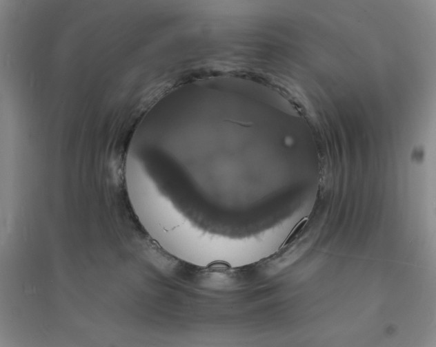 X0000094060285200711091136