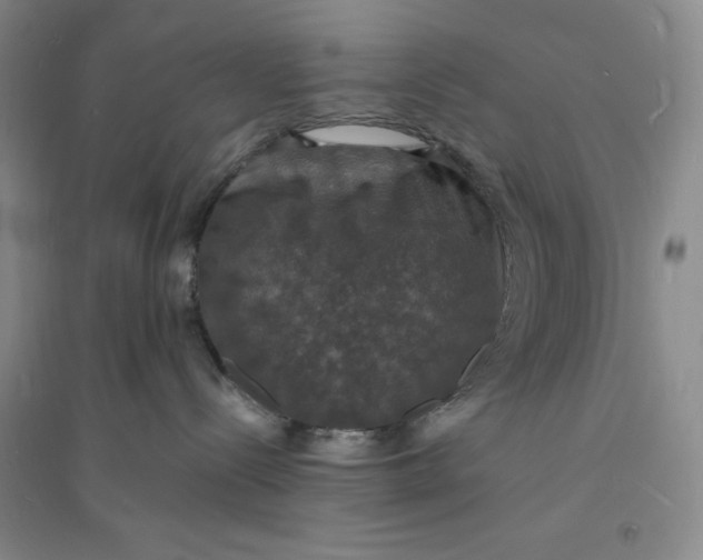 X0000094060288200711091136