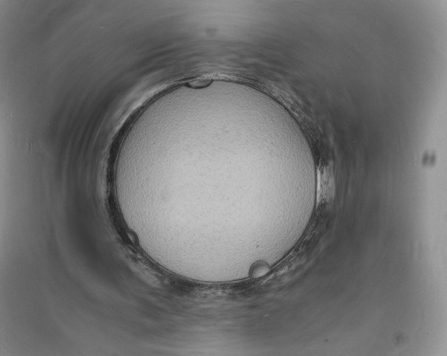 X0000094060291200711091135