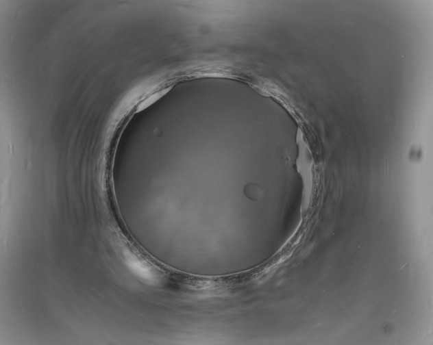 X0000094060293200711091135