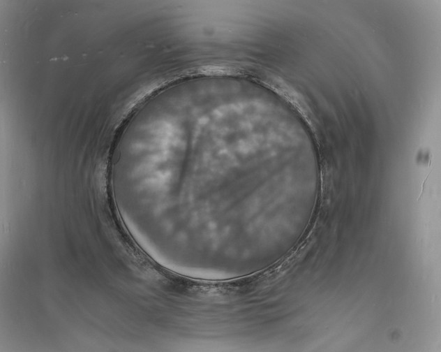 X0000094060297200711091135