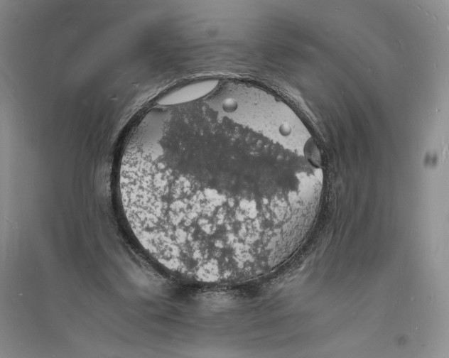 X0000094060299200711091135