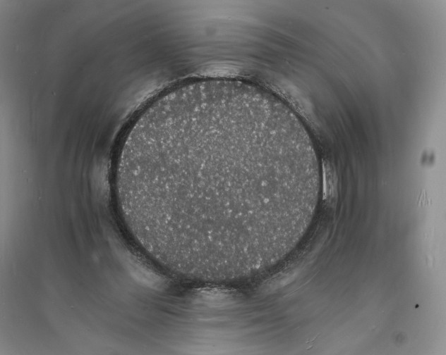 X0000094060300200711091135