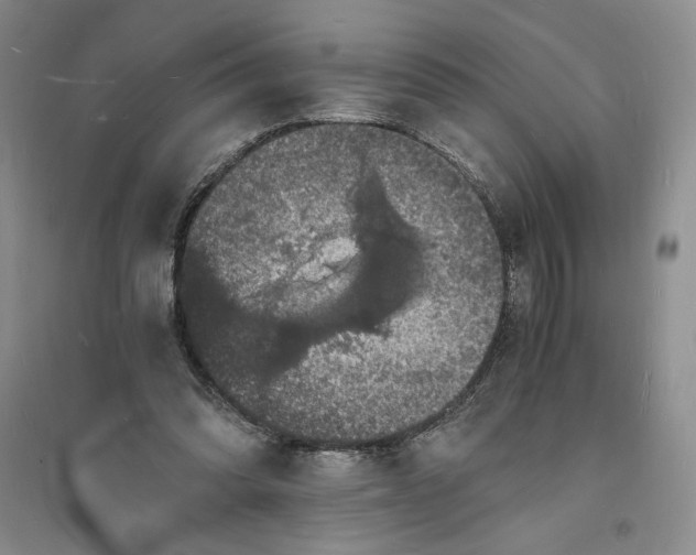X0000094060302200711091135