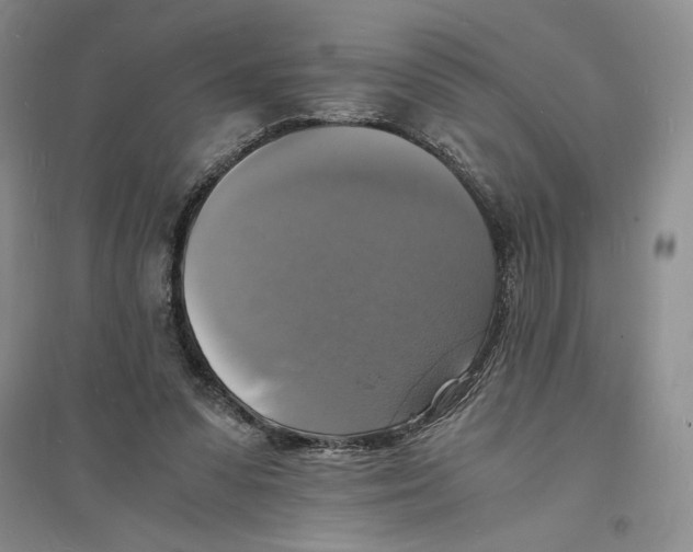 X0000094060303200711091135