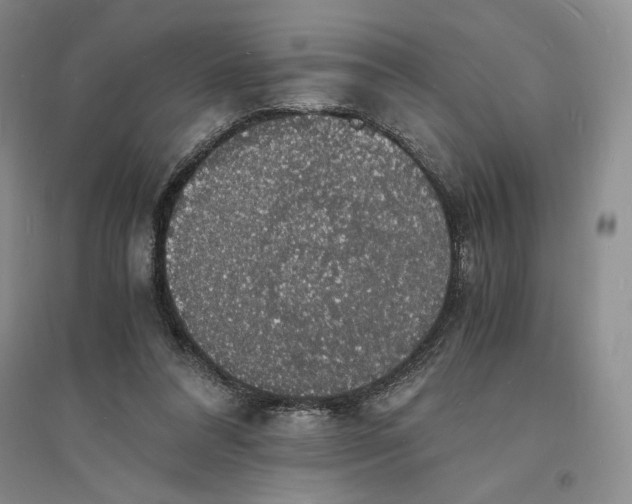 X0000094060304200711091135
