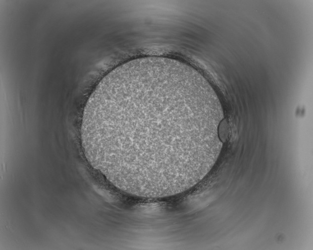 X0000094060307200711091134