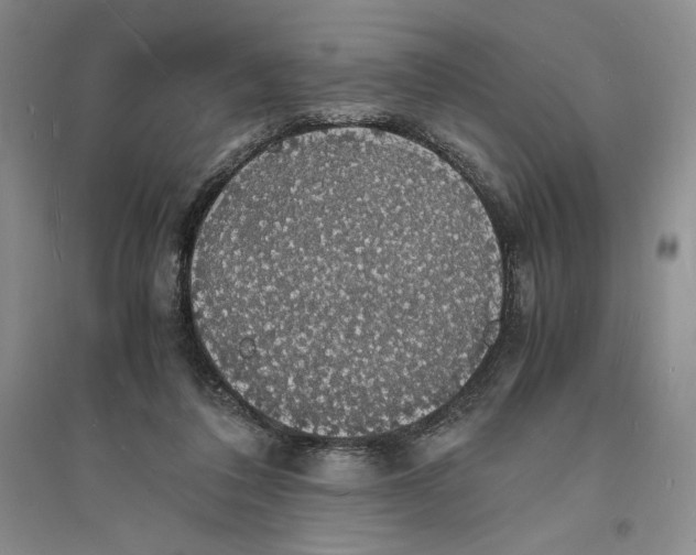 X0000094060308200711091134