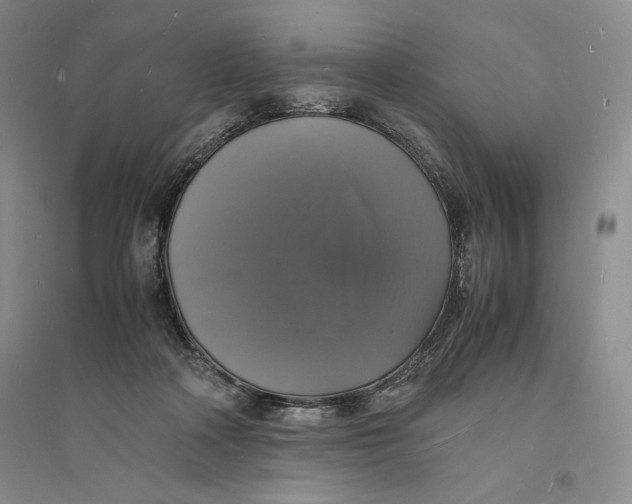 X0000094060314200711091134