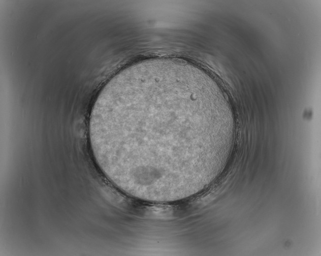 X0000094060317200711091134