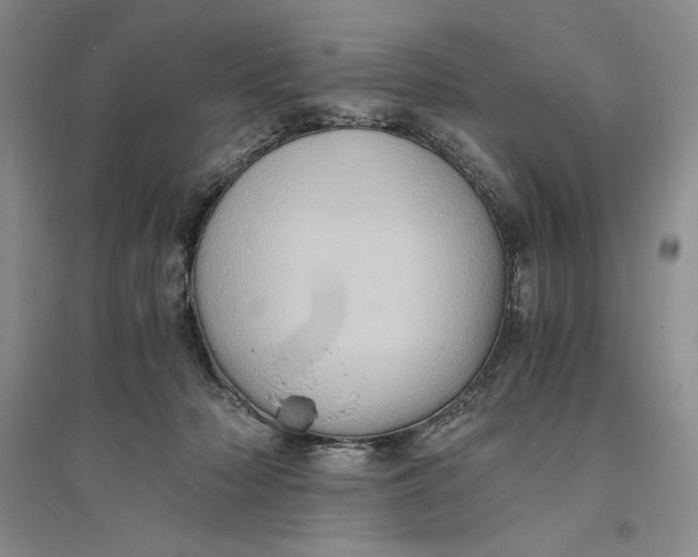 X0000094060318200711091134