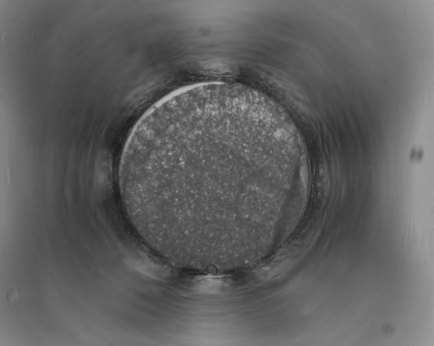 X0000094060320200711091134