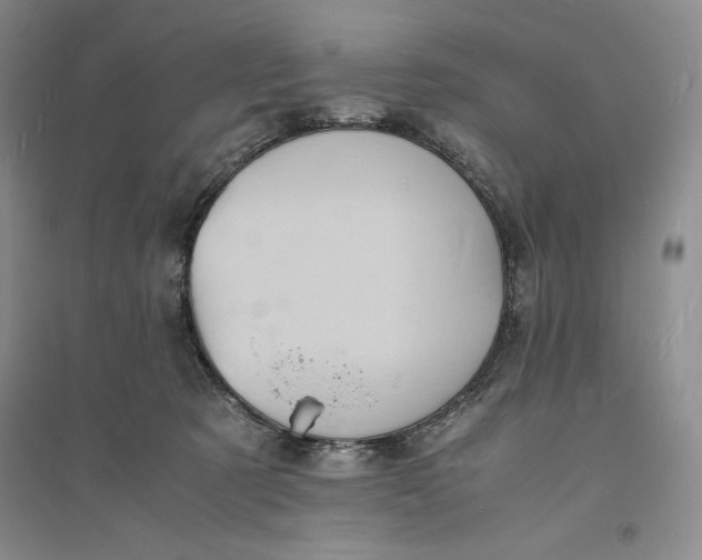 X0000094060321200711091134