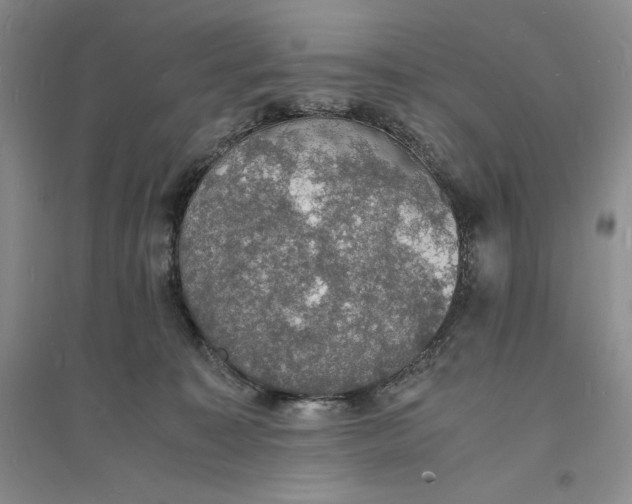 X0000094060323200711091134