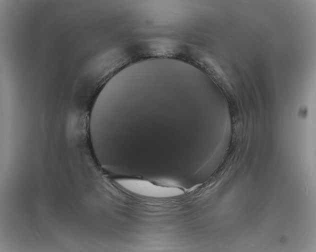 X0000094060325200711091134