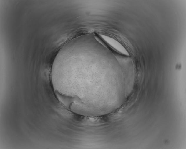 X0000094060329200711091134