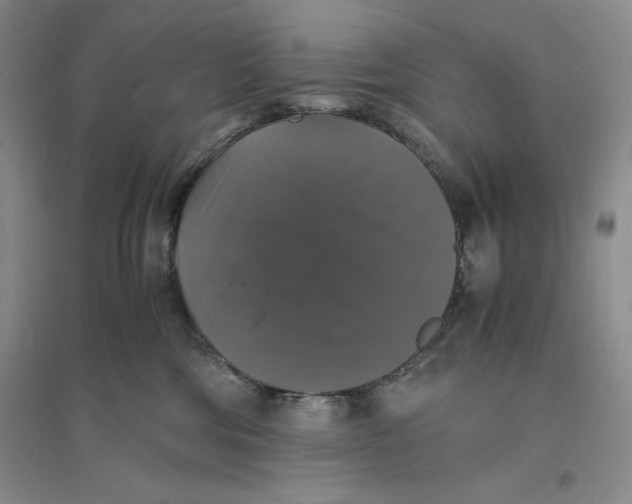 X0000094060330200711091134