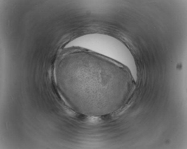 X0000094060333200711091134