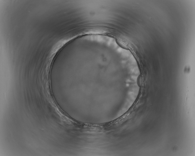 X0000094060337200711091133