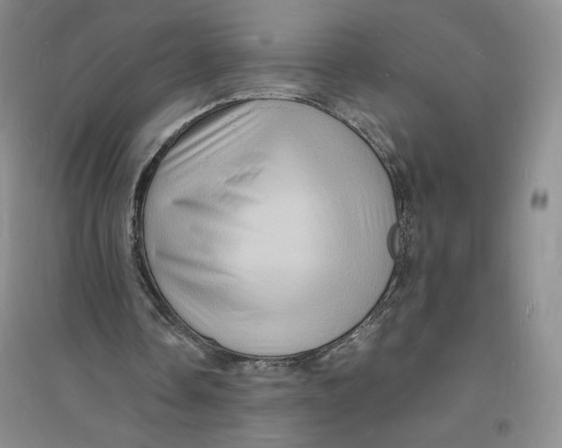 X0000094060338200711091133