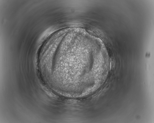X0000094060339200711091133
