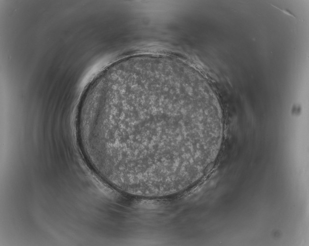 X0000094060341200711091133