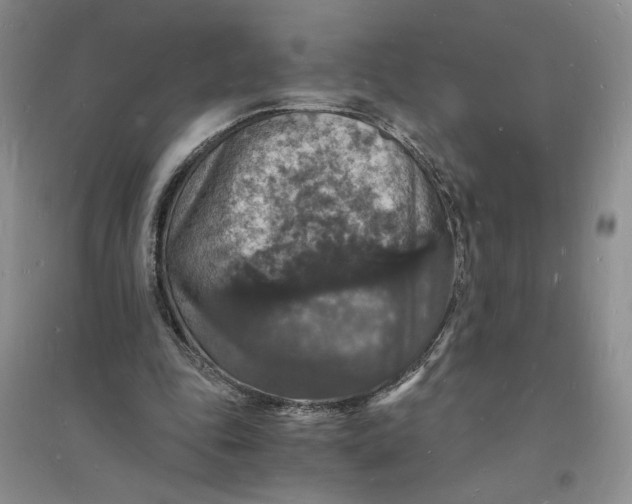 X0000094060343200711091133