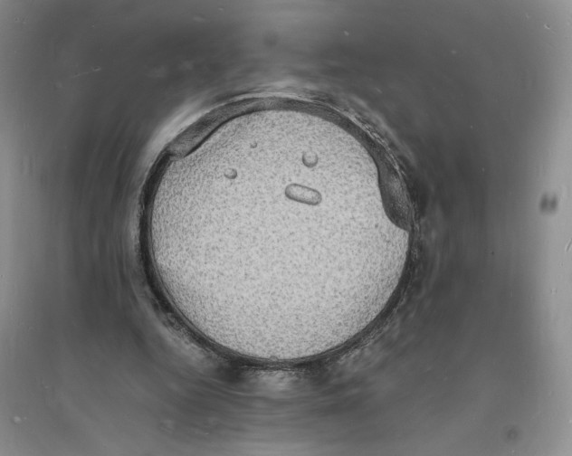 X0000094060344200711091133