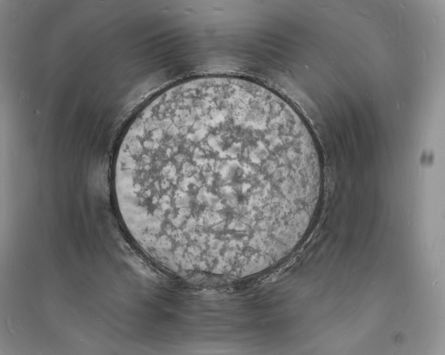 X0000094060345200711091133