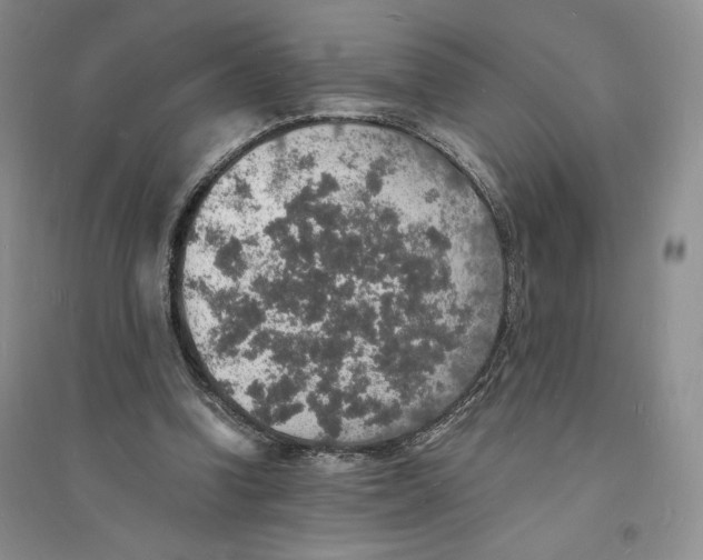 X0000094060346200711091133