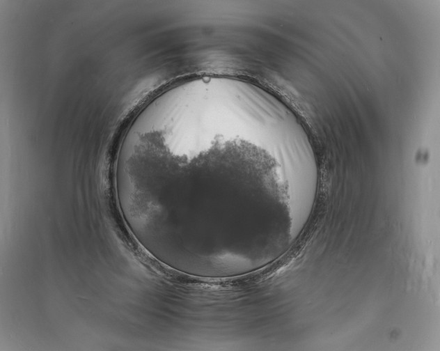 X0000094060347200711091133