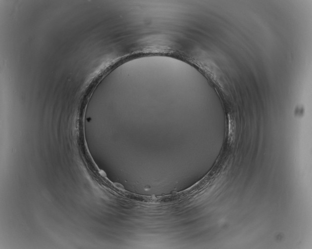X0000094060348200711091133