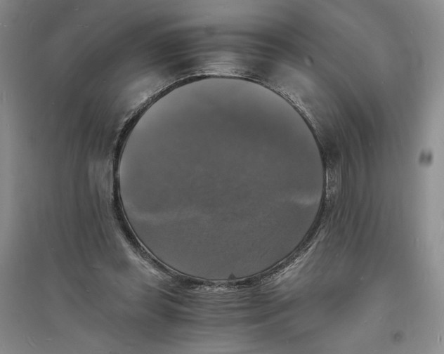 X0000094060349200711091133