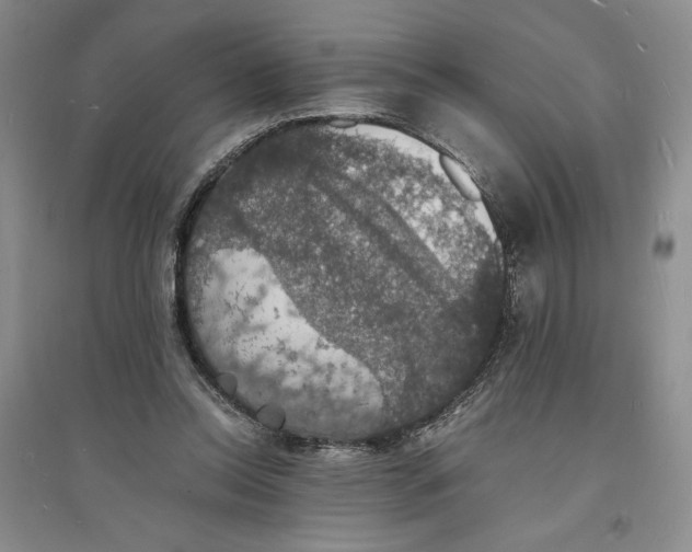 X0000094060350200711091133