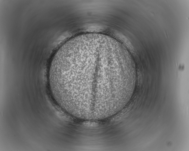 X0000094060354200711091133